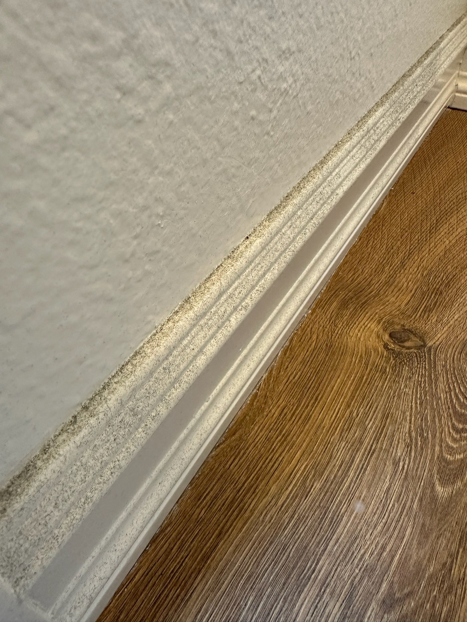 Deep Cleaning in Seattle Before