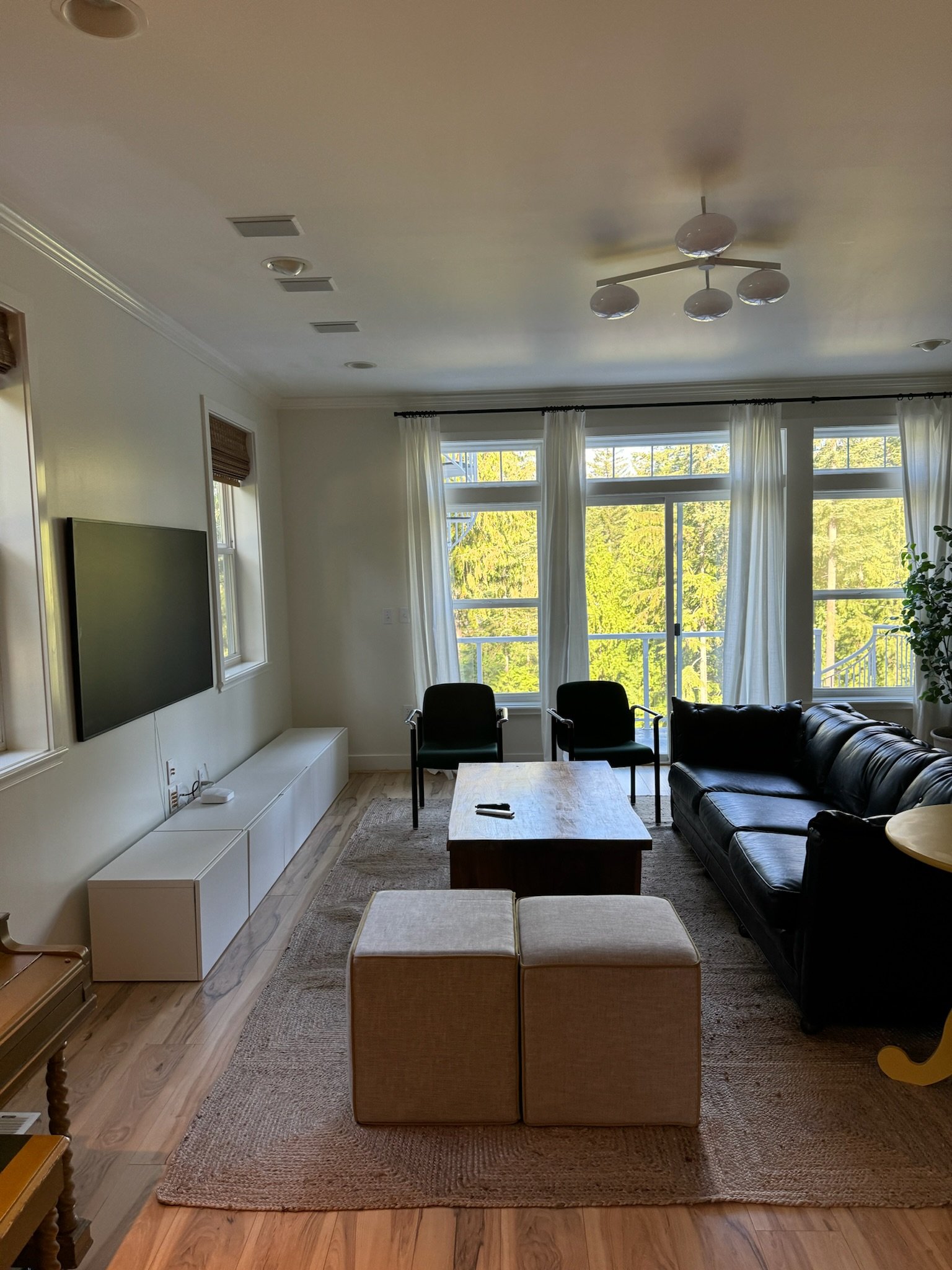 Living Room Cleaning in Seattle