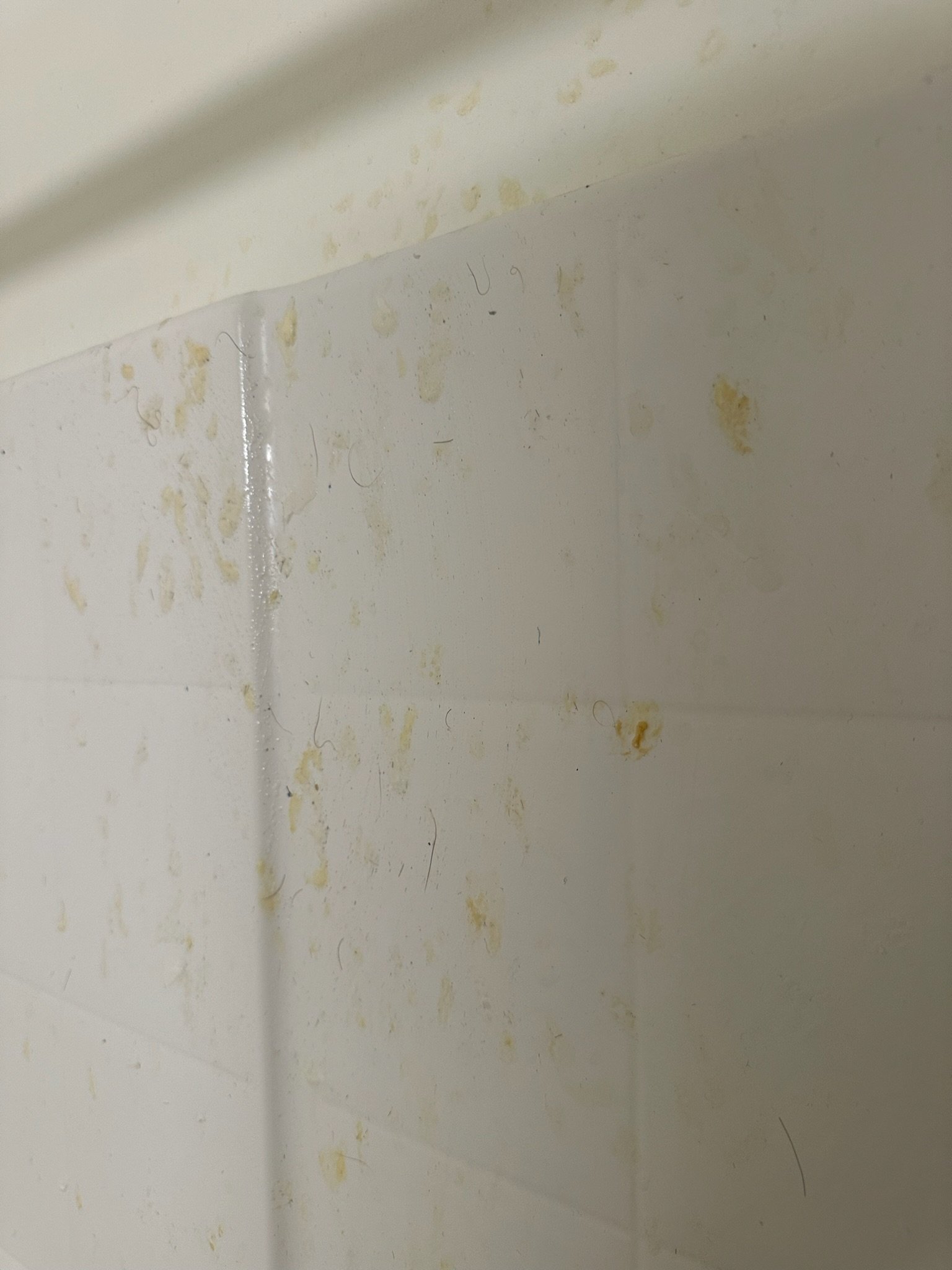 Move Out Cleaning in Seattle Before