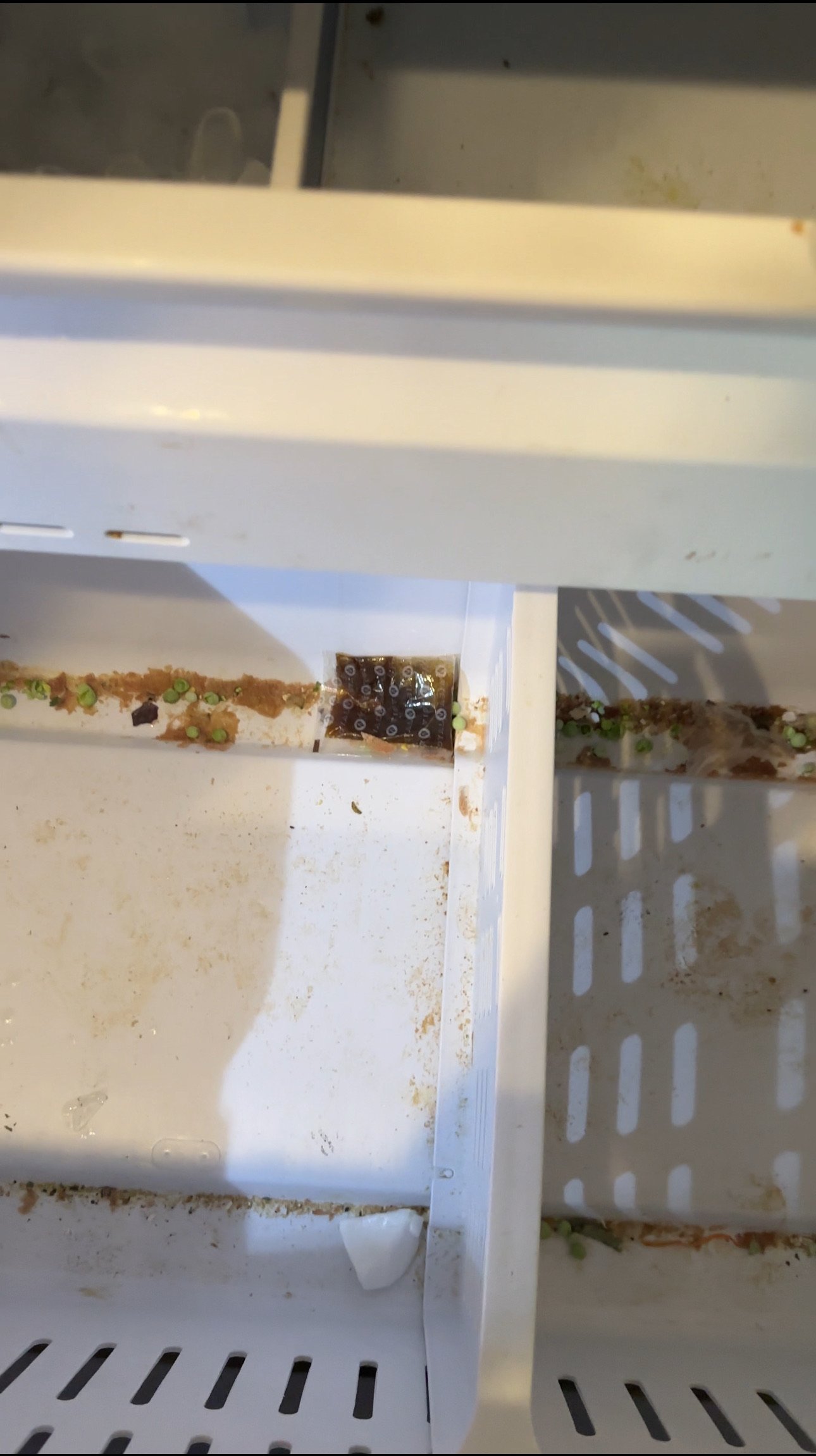 Deep Cleaning in Seattle Before
