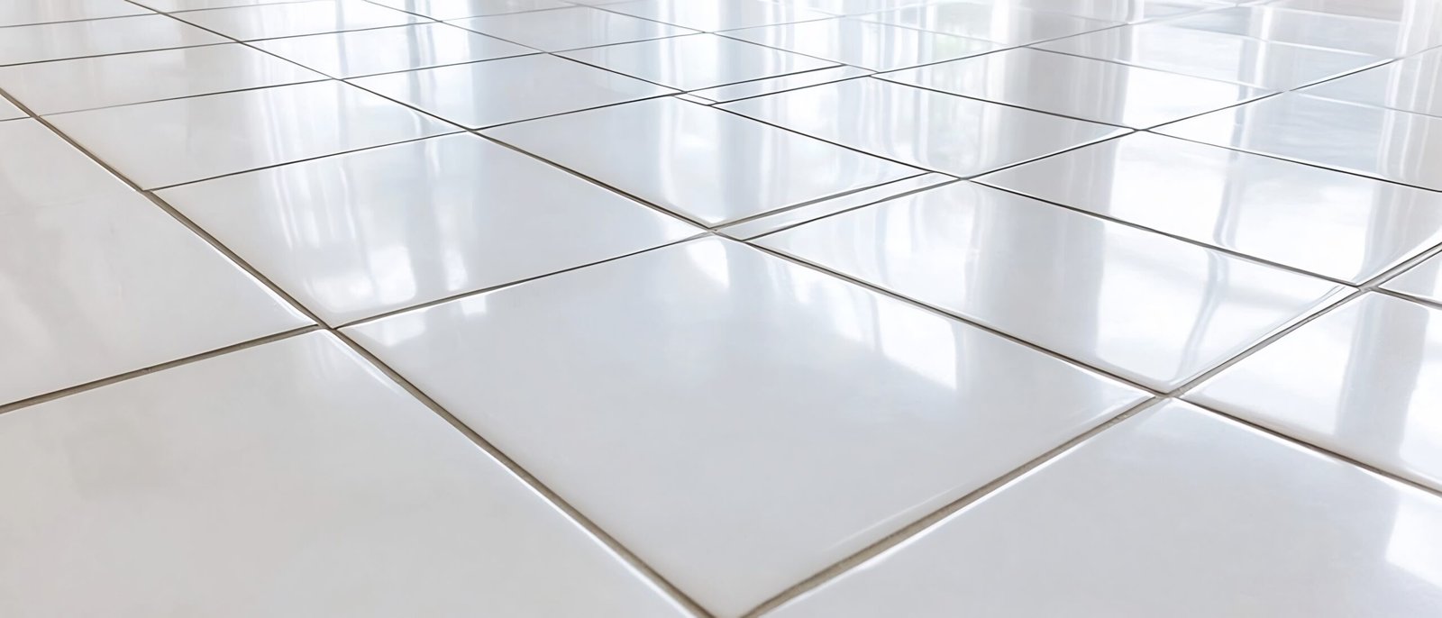 Tile & Grout Maintenance Cleaning in Seattle Before
