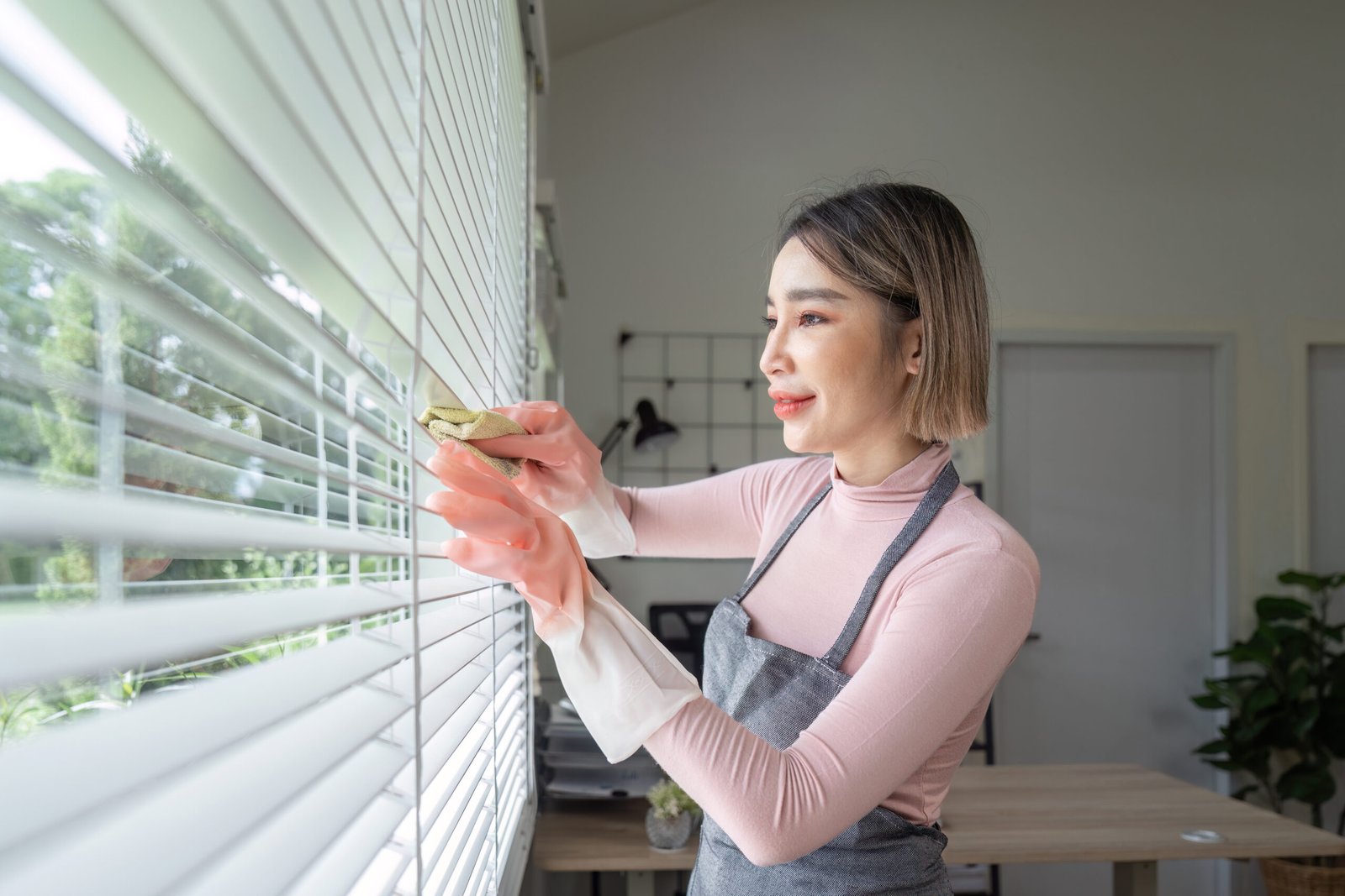  Blinds Cleaning in Seattle Before