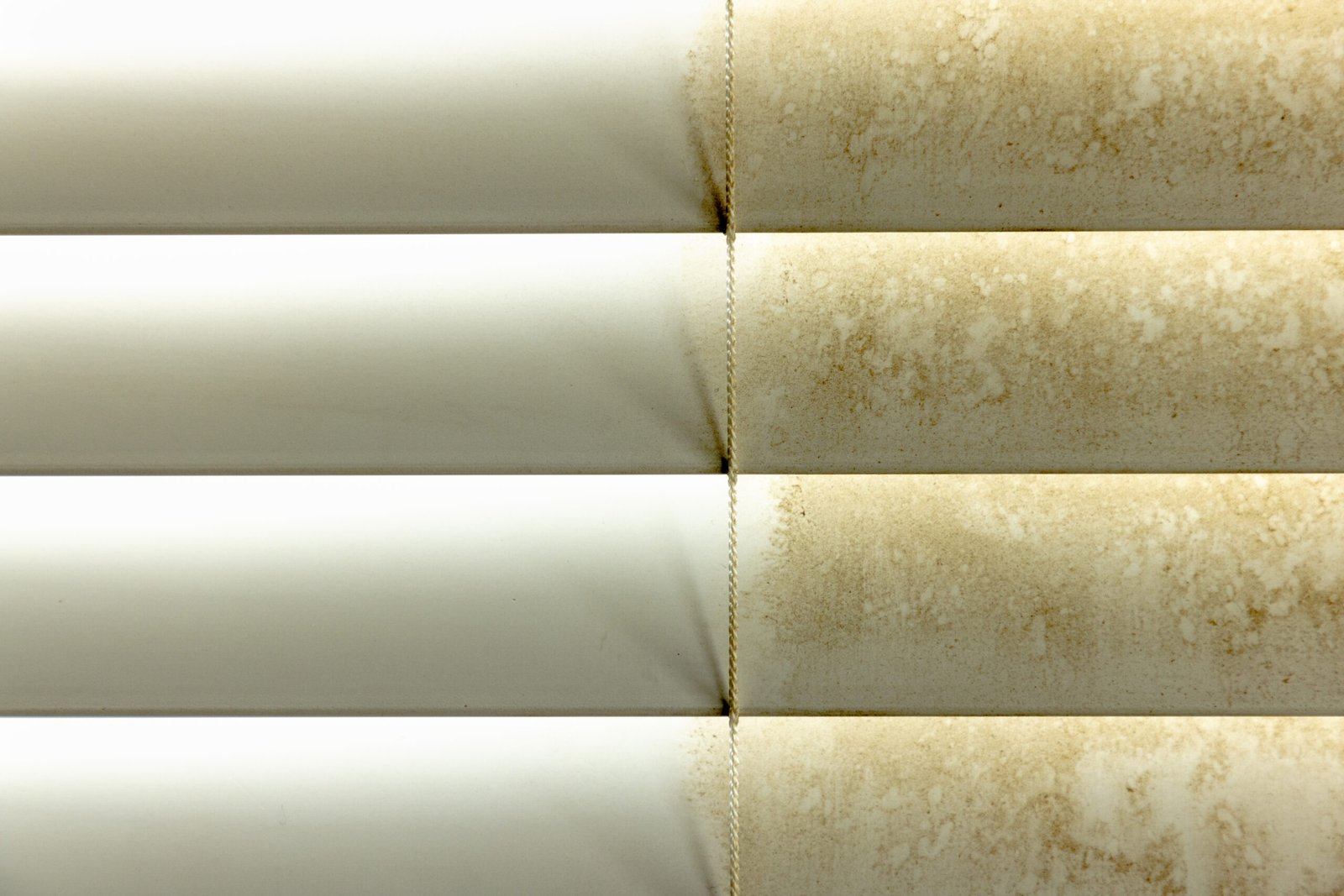  Blinds Cleaning in Seattle Before