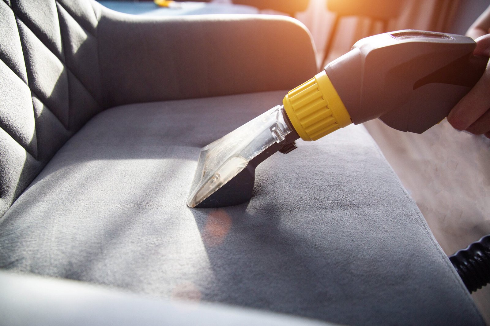 Upholstery Cleaning in Seattle Before