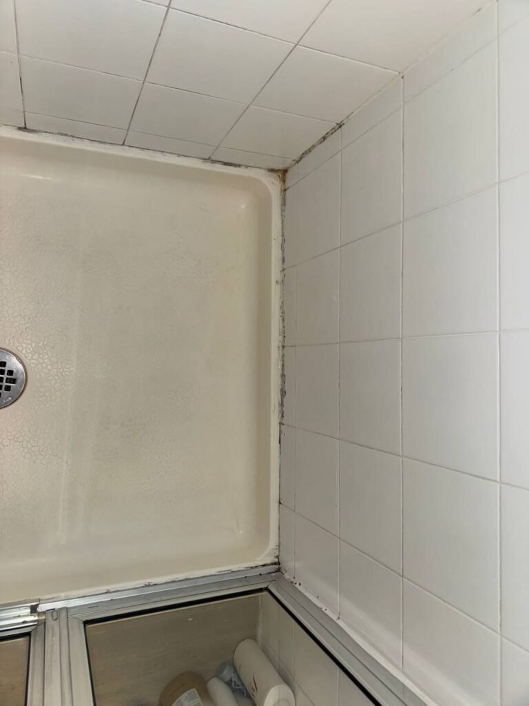 Shower pan with rust stains and dark grout in an older Bothell, WA bathroom before JenyClean cleaning