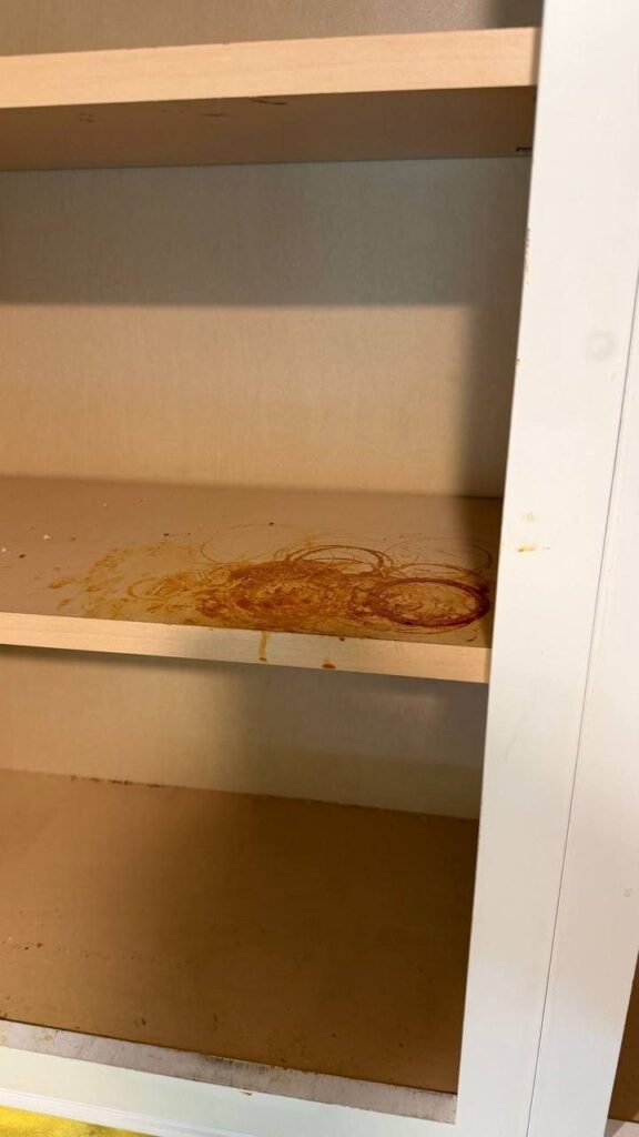 Empty cabinet with sticky brown rings on the shelf and dust on the bottom before JenyClean move-out cleaning in Issaquah, WA
