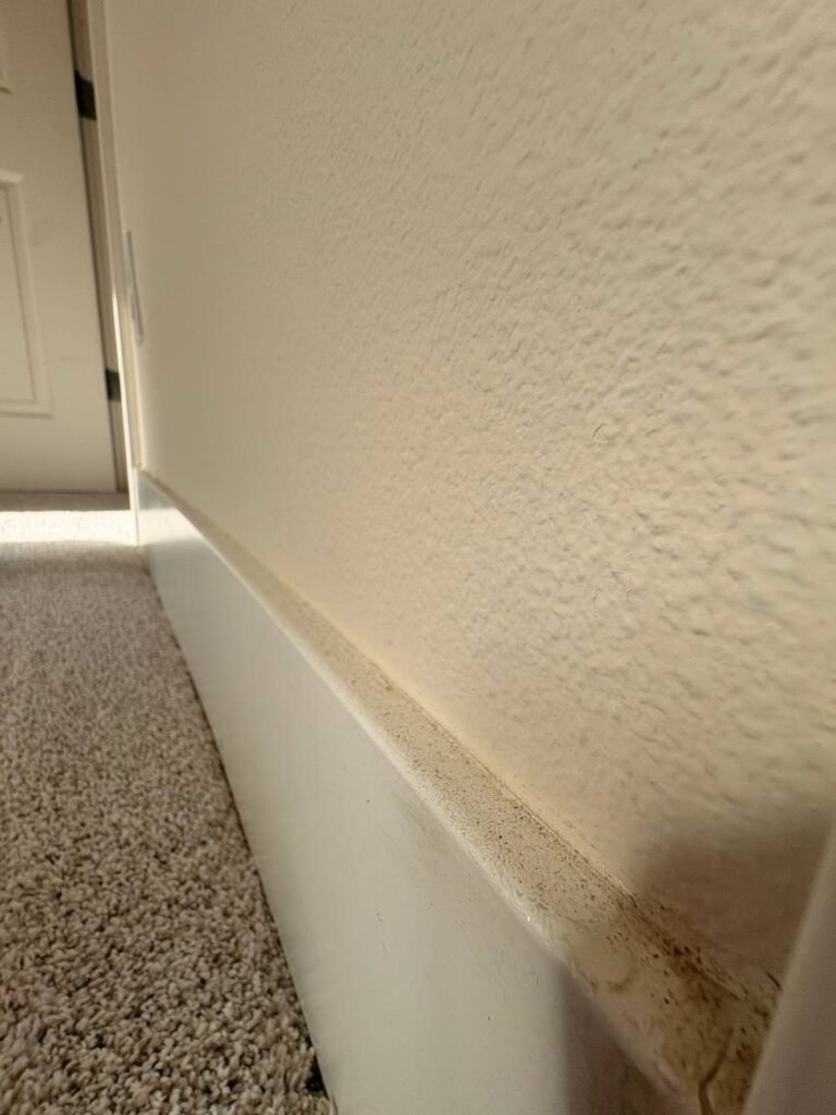 White baseboard next to carpet with a gray line of construction dust along the top edge before JenyClean deep cleaning in Issaquah, WA