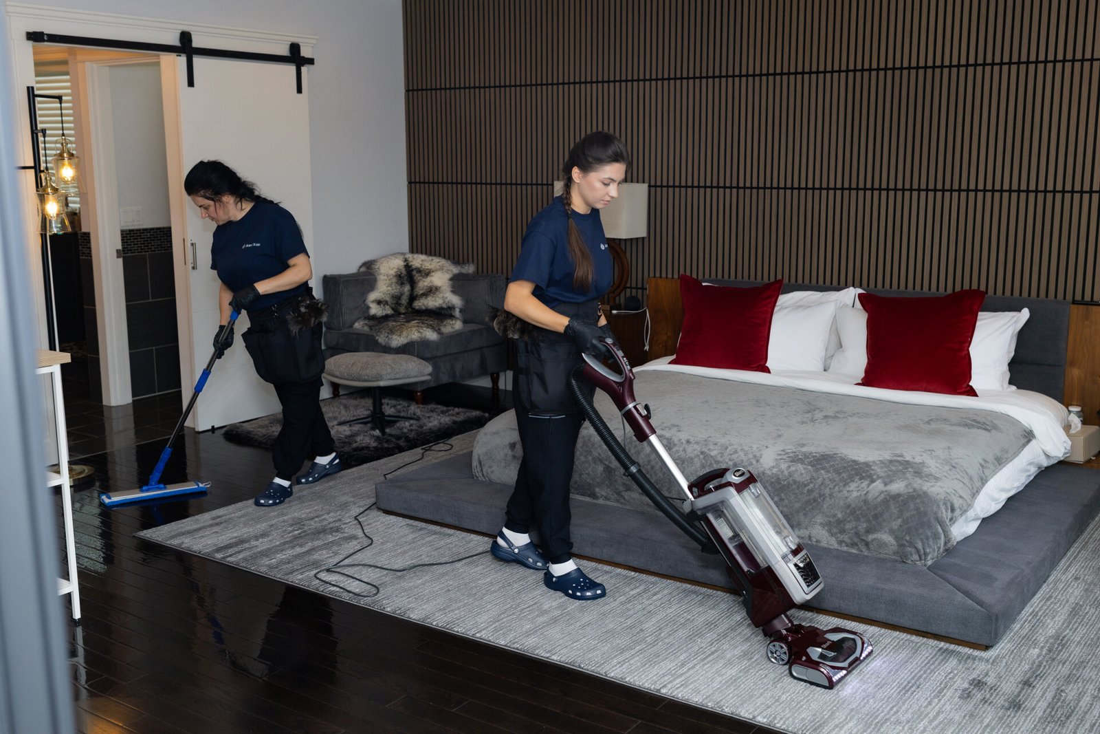 JenyClean cleaner vacuuming area rug