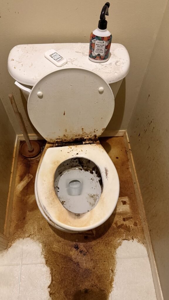 Toilet with brown buildup on the seat, rusted hinges and a stained vinyl floor before JenyClean move-in cleaning in Renton, WA