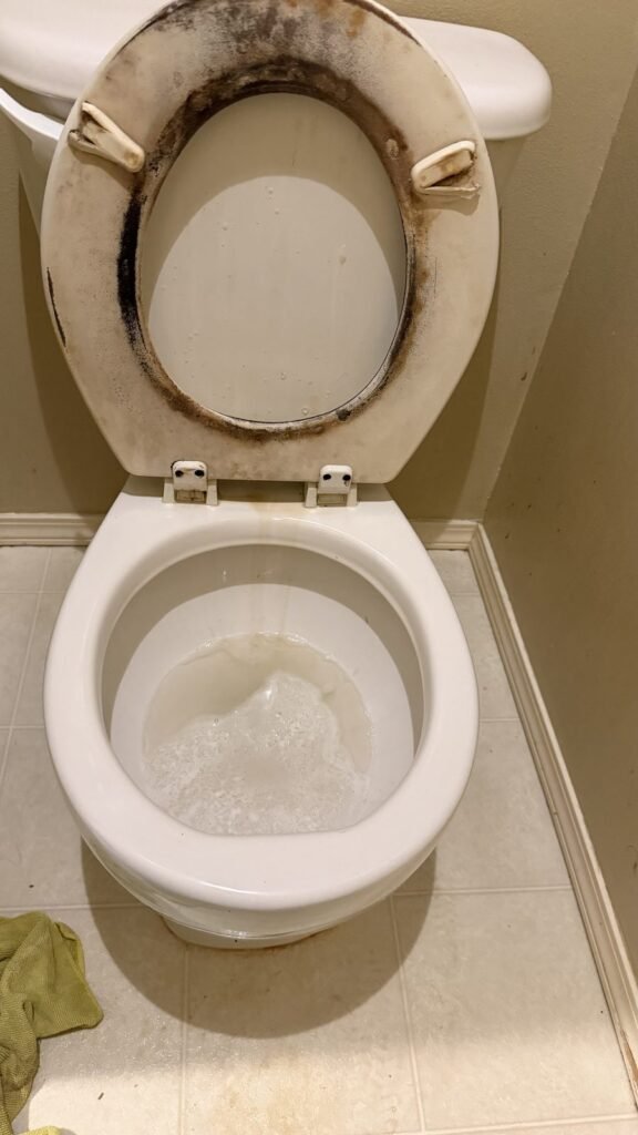Toilet bowl with foaming mineral-deposit remover during JenyClean move-in cleaning in Renton, WA
