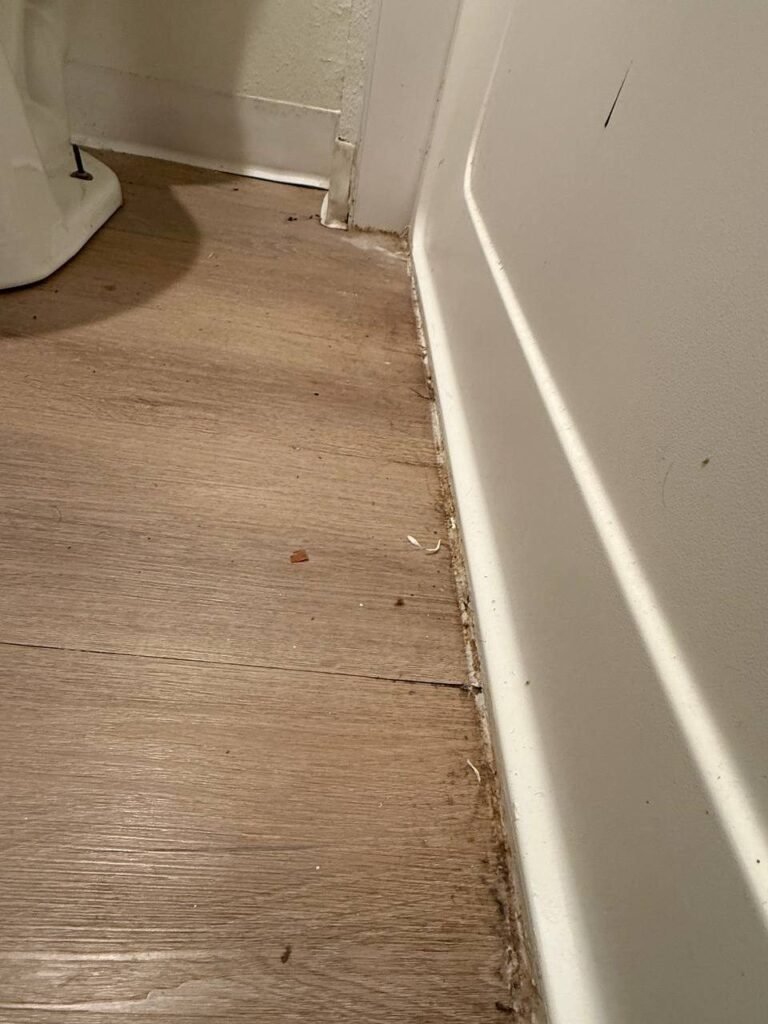 Band of dust and crumbs along the baseboard and tub edge before JenyClean same-day cleaning in Renton, WA