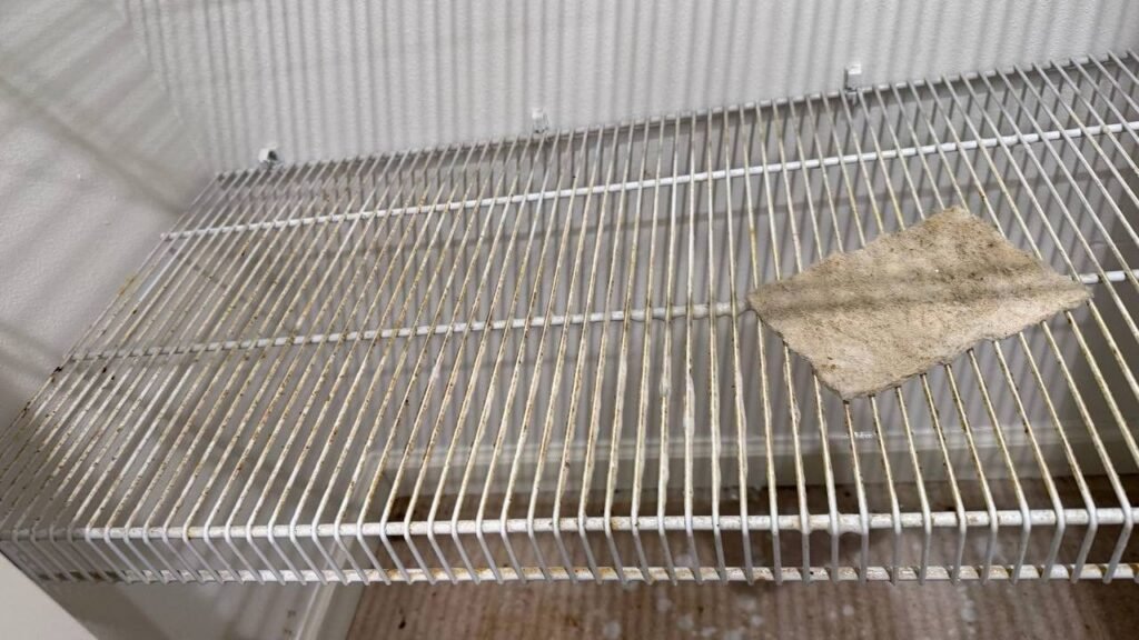 White wire shelf with rust-brown spots, dust and debris before JenyClean move-in cleaning in Sammamish, WA
