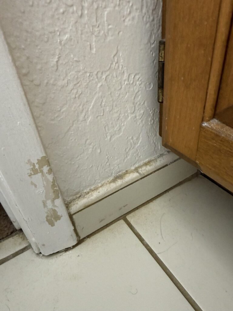 Baseboard corner behind a door with dust and grime in the floor joint before JenyClean deep cleaning in Seattle, WA