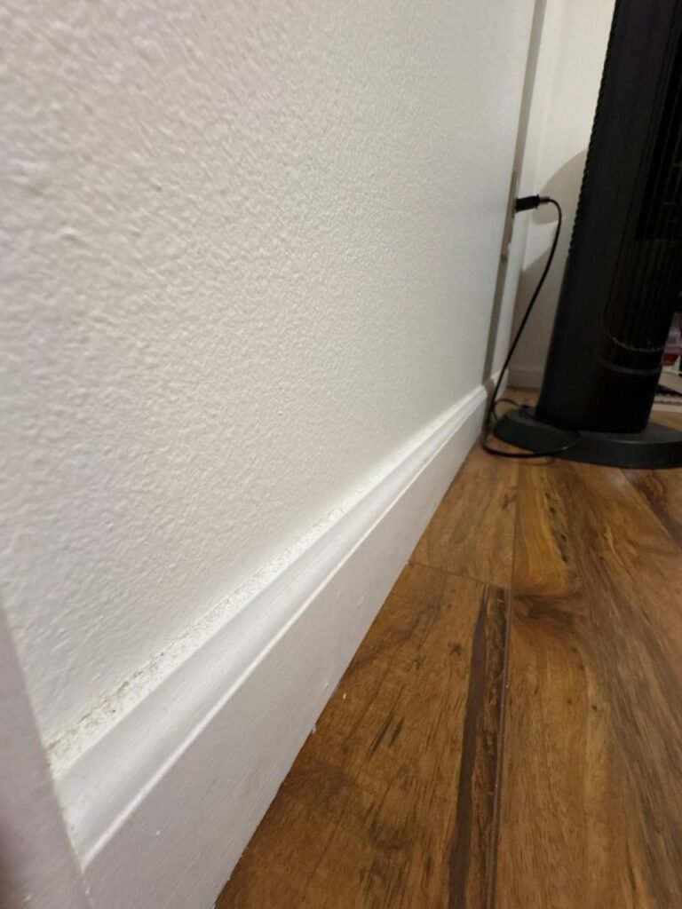 Gray line of dust along the top edge of a white baseboard before JenyClean deep cleaning in Seattle, WA